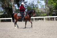 DAHA_Spring21_Thurs_1029