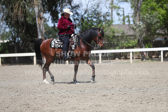 DAHA_Spring21_Thurs_1029
