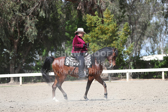 DAHA_Spring21_Thurs_1027