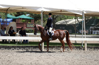 DAHA_Spring21_Thurs_0935