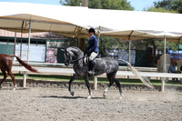 DAHA_Spring21_Thurs_0939