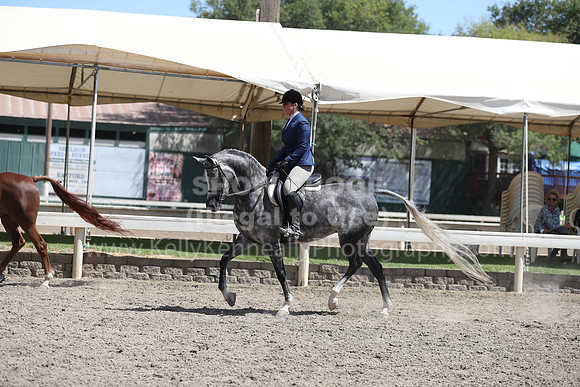 DAHA_Spring21_Thurs_0939