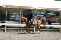 DAHA_Spring21_Thurs_0948