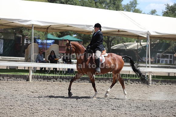 DAHA_Spring21_Thurs_0950