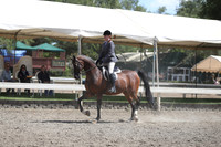 DAHA_Spring21_Thurs_0953