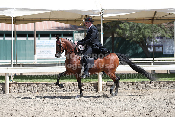 DAHA_Spring21_Thurs_1086