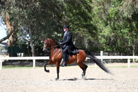 DAHA_Spring21_Thurs_1090