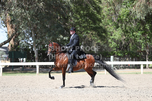 DAHA_Spring21_Thurs_1090