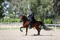 DAHA_Spring21_Thurs_1094