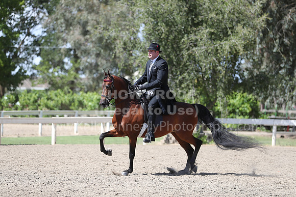 DAHA_Spring21_Thurs_1094