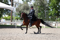 DAHA_Spring21_Thurs_1096