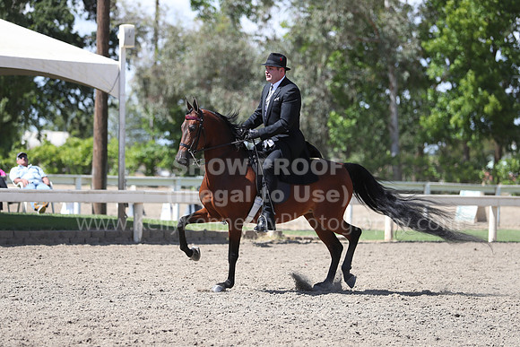 DAHA_Spring21_Thurs_1096