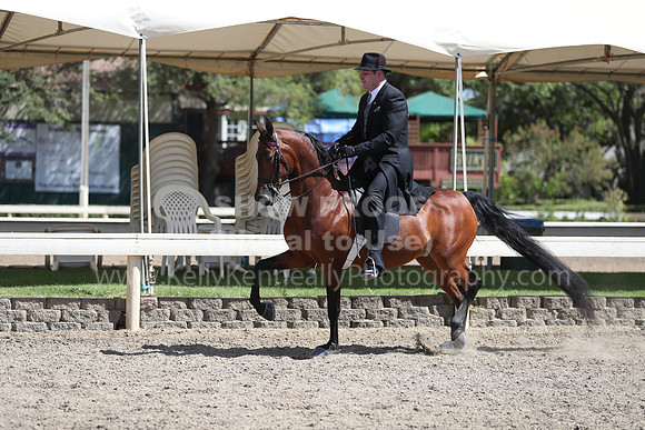 DAHA_Spring21_Thurs_1081