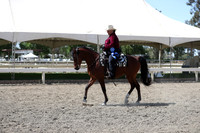 DAHA_Spring21_Thurs_1041