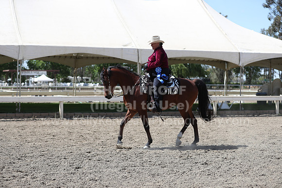 DAHA_Spring21_Thurs_1041