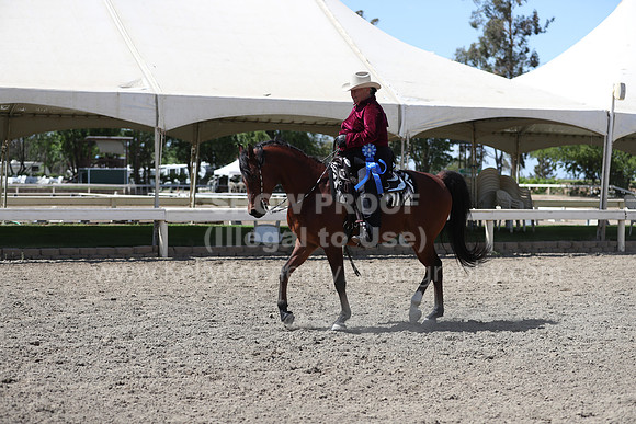 DAHA_Spring21_Thurs_1040