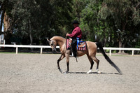 DAHA_Spring21_Thurs_1151