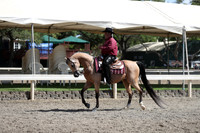 DAHA_Spring21_Thurs_1146