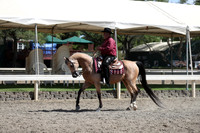 DAHA_Spring21_Thurs_1147