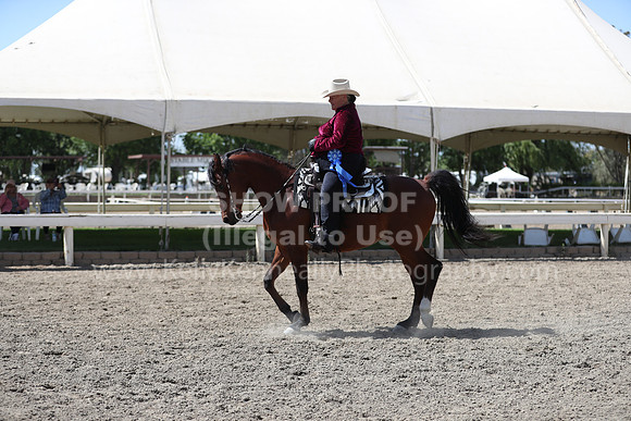 DAHA_Spring21_Thurs_1043