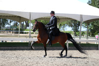 DAHA_Spring21_Thurs_1100