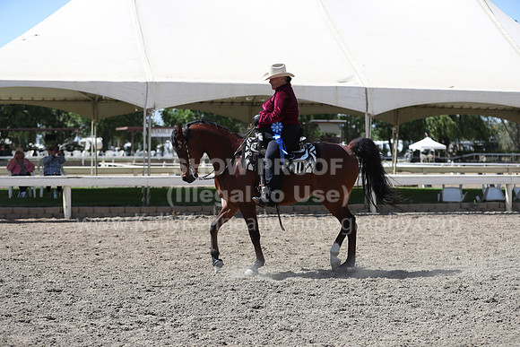 DAHA_Spring21_Thurs_1044