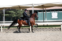DAHA_Spring21_Thurs_1102