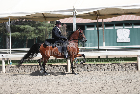 DAHA_Spring21_Thurs_1102