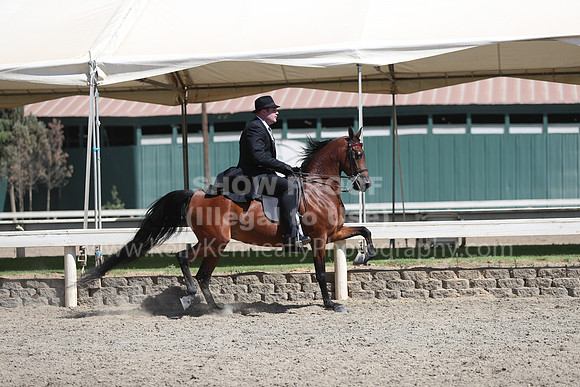 DAHA_Spring21_Thurs_1103