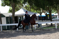 DAHA_Spring21_Thurs_1107