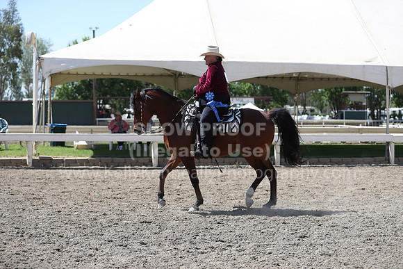 DAHA_Spring21_Thurs_1045