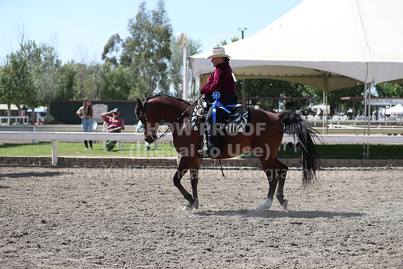 DAHA_Spring21_Thurs_1047