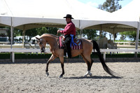 DAHA_Spring21_Thurs_1157