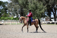 DAHA_Spring21_Thurs_1153