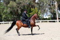 DAHA_Spring21_Thurs_1116
