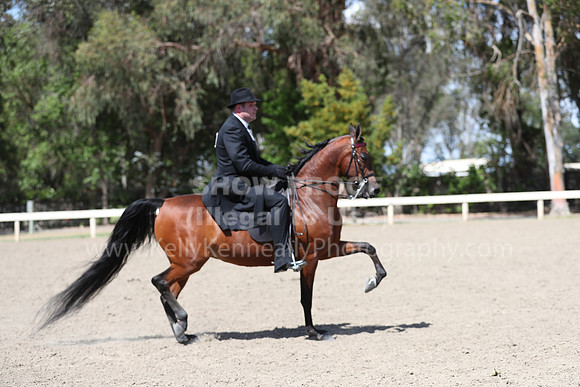 DAHA_Spring21_Thurs_1116