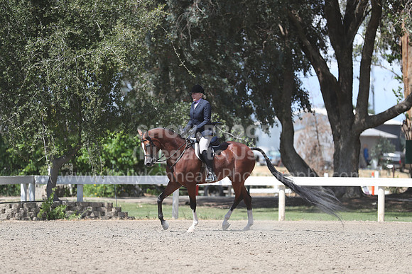 DAHA_Spring21_Thurs_0973