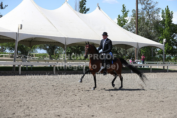 DAHA_Spring21_Thurs_1126