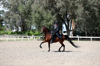 DAHA_Spring21_Thurs_1120