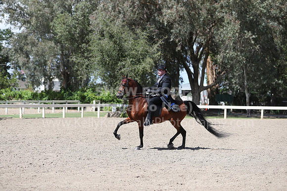 DAHA_Spring21_Thurs_1120