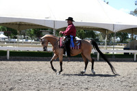 DAHA_Spring21_Thurs_1159