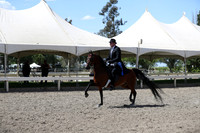 DAHA_Spring21_Thurs_1130