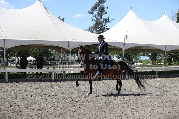 DAHA_Spring21_Thurs_1130