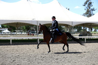 DAHA_Spring21_Thurs_1134