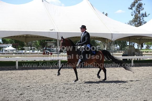 DAHA_Spring21_Thurs_1134
