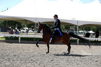 DAHA_Spring21_Thurs_1136
