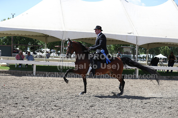 DAHA_Spring21_Thurs_1136