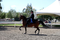 DAHA_Spring21_Thurs_1139