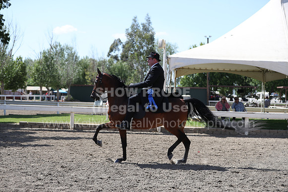 DAHA_Spring21_Thurs_1139