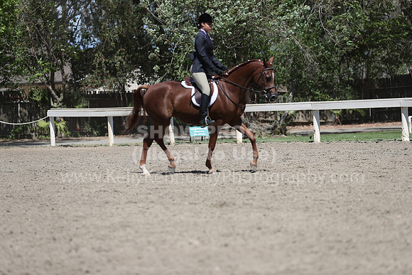 DAHA_Spring21_Thurs_0988